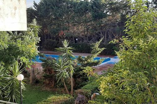 a garden with a swimming pool with trees and bushes at MaMa house in Le Castella