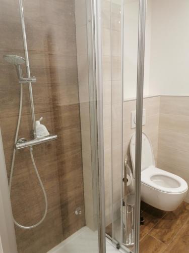a bathroom with a toilet and a glass shower stall at Girasole Trento in Trento
