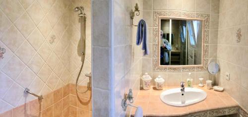 La salle de bains est pourvue d'un lavabo, d'une douche et d'un miroir. dans l'établissement le vieux pont, à Carpentras