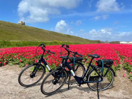 zwei Fahrräder, die vor einem Blumenfeld geparkt sind in der Unterkunft Bungalow Albatros in Julianadorp