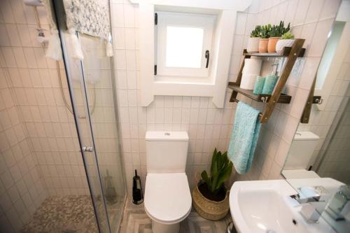 a bathroom with a toilet and a sink at The Paddocks Cabin - Stylish, Cozy & Private in Killarney