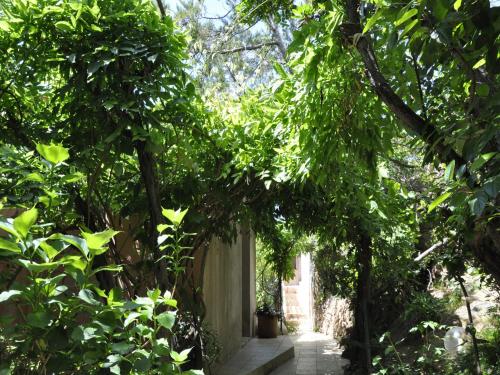 a path through a forest with trees and a fence at Private Hôtel - Adults Only in Porto-Vecchio