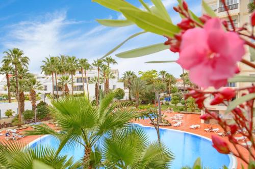 Studio Eldorado in Playa de Las Americas near the beach