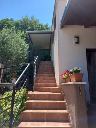 Apartment Ankica