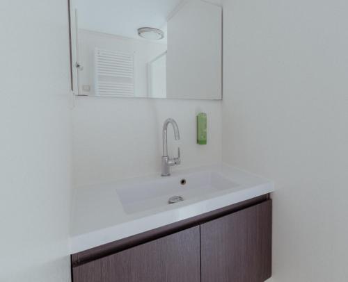 ein Badezimmer mit einem weißen Waschbecken und einem Spiegel in der Unterkunft Ons Buiten in Oostkapelle