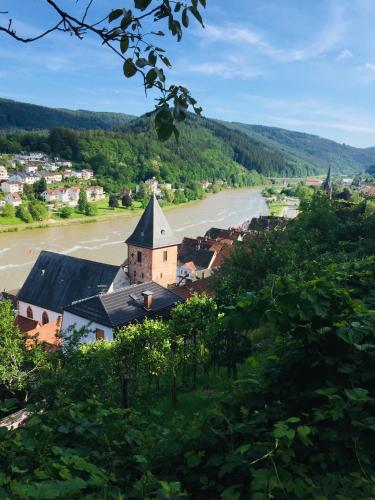 a view of a town with a river and a church at Natur und Neckarblick bei Heidelberg in Hirschhorn