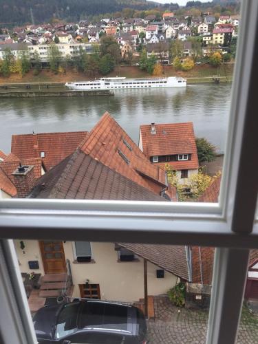 a view from a window of a river and buildings at Natur und Neckarblick bei Heidelberg in Hirschhorn
