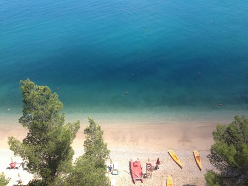 an aerial view of a beach with trees and the water at Apulia Bed&Breakfast in Mattinata
