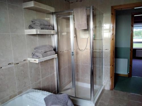 uma casa de banho com um chuveiro e uma cabina de duche em vidro. em Warm and welcoming family home em Ballinrobe