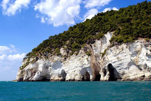 a rocky mountain with trees on it in the water at Apulia Bed&Breakfast in Mattinata