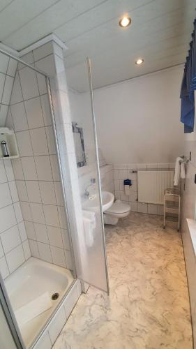 uma casa de banho com um chuveiro, um lavatório e um WC. em Pension Backhaus em Waldeck