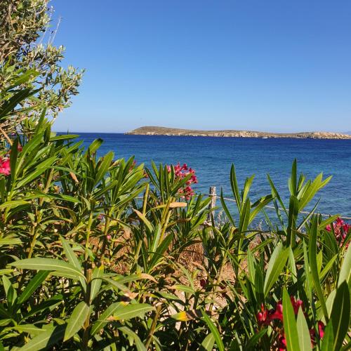 a view of the ocean from a beach with plants at Kleanthi Apartments in Drios