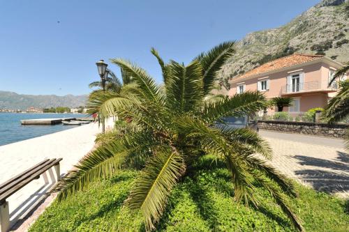 a palm tree on the side of a beach at Apartments Marilu in Kotor