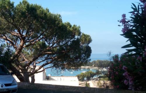 AJACCIO VUE MER ET MONTAGNES JACUZZI 300M PLAGEs