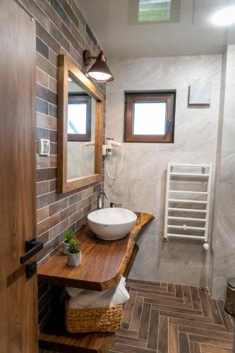 a bathroom with a sink and a mirror at Hotel Hunters House in Ezerets