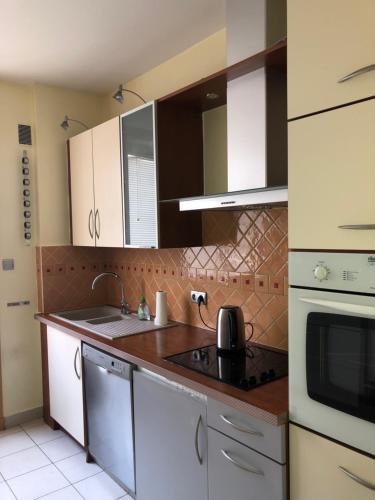 une cuisine avec un évier et une cuisinière four supérieur dans l'établissement Lyon 3 Triangle d'Or, à Lyon