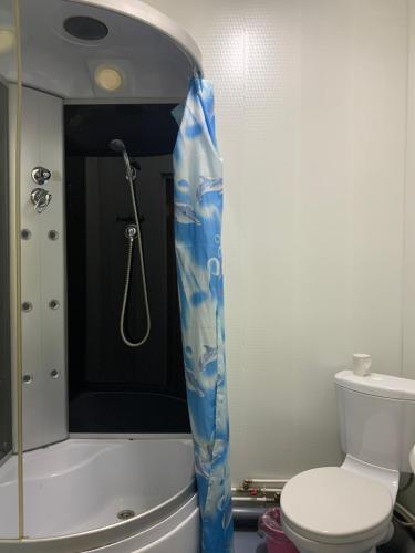 a bathroom with a shower curtain next to a toilet at Ryabinka Hotel in Cheboksary