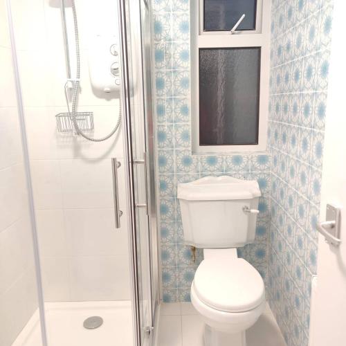 a bathroom with a toilet and a shower at Crow's Nest Glandore - 4 - Self Catering in Glandore