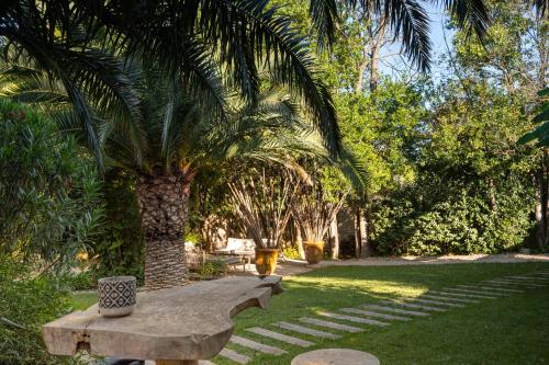 een park met een bank en een palmboom bij Hôtel l'Amandière in Saint-Rémy-de-Provence