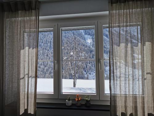 a window with a view of a snow covered mountain at Tgèsa Dutg Grond in Sedrun