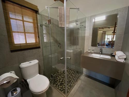 a bathroom with a shower and a toilet and a sink at Mongena Private Game Lodge in Rust de Winter