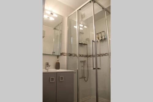 een badkamer met een douche en een wastafel bij Super appartement les pieds dans l eau in Cap d'Agde