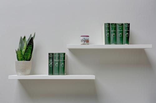 Biblioteca en el apartamento
