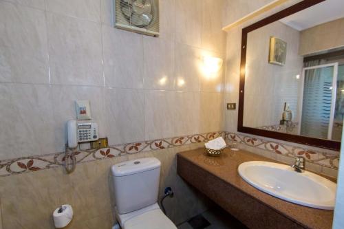 a bathroom with a toilet and a sink and a mirror at Philae Hotel Aswan in Aswan
