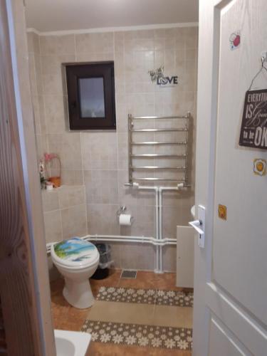 a bathroom with a toilet and a tv in it at CASA DINTRE PINI in Păltinoasa