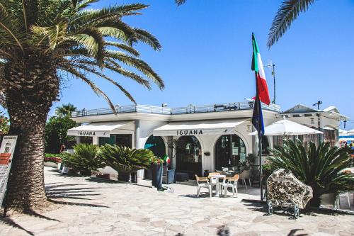a building with a palm tree in front of it at International Hotel & Suite in San Benedetto del Tronto