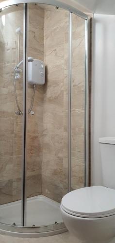 a bathroom with a shower and a toilet at Hydeaway 2 in Donegal