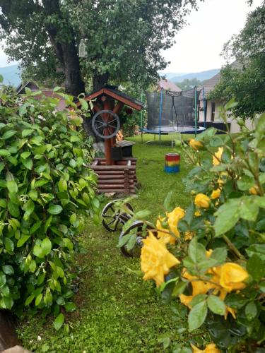a garden with a playground in the background with yellow flowers at CASA DINTRE PINI in Păltinoasa
