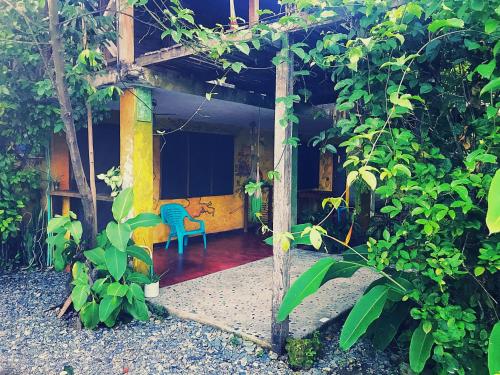a porch of a house with a blue chair at Dive and Green Capurgana in Capurganá
