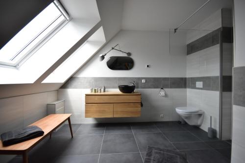 uma casa de banho com um lavatório e um WC em Ostseehaus Boje em Krummin