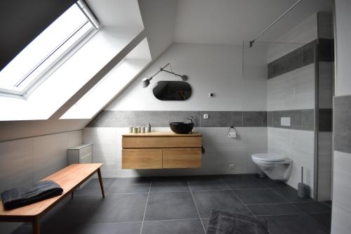 a bathroom with a sink and a toilet at Ostseehaus Boje in Krummin