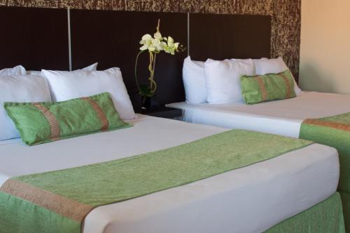 Giường trong phòng chung tại Hotel Colibrí Suites