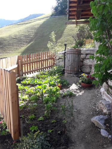 a garden with a wooden fence and some plants at Hofstatthof in Campo di Trens