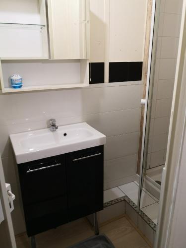 une salle de bain avec un lavabo et une douche dans l'établissement LE STUDIO REMCAM, à Saint-Mitre-les-Remparts