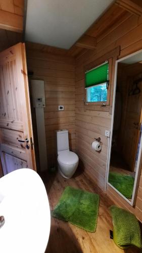 a small bathroom with a toilet and a mirror at Sabine's Wellnesslodge in Ruppertsweiler
