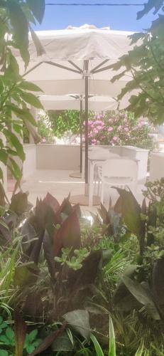 a garden with a white umbrella and some plants at Hotel Peli in Kissamos