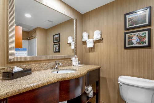 a bathroom with a sink and a toilet and a mirror at Comfort Suites North in Knoxville