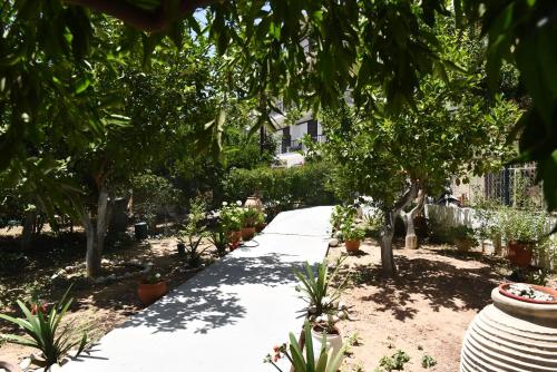 a garden with trees and potted plants on a sidewalk at Knossos Hotel in Tolo