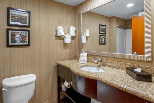 a bathroom with a toilet and a sink and a mirror at Comfort Suites Knoxville North in Knoxville