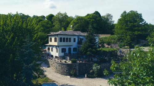 an aerial view of a house in a forest at Amalthia Traditional Guesthouse in Tsagarada