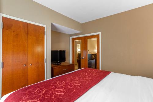 a bedroom with a large bed and a television at Comfort Suites Knoxville North in Knoxville