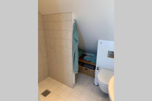 a bathroom with a toilet and a shower stall at Tag lejlighed i hyggelig landsby på Stevns in Store Heddinge