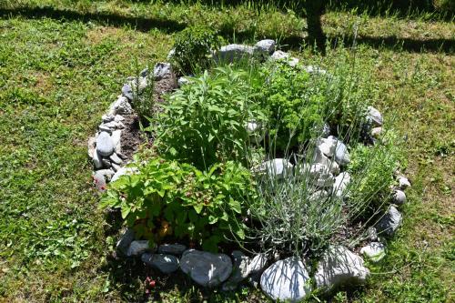 a garden with rocks and plants in a yard at Pension Mitterwallner in Schladming