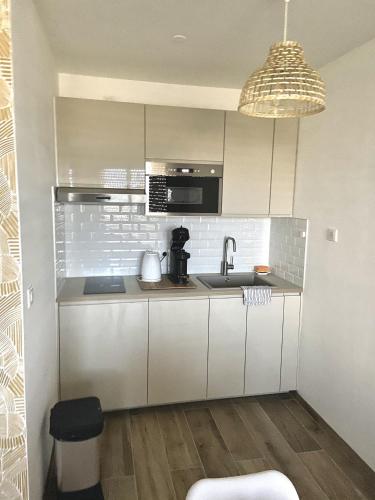 une cuisine avec un évier et un micro-ondes dans l'établissement Capveo, à Pornichet