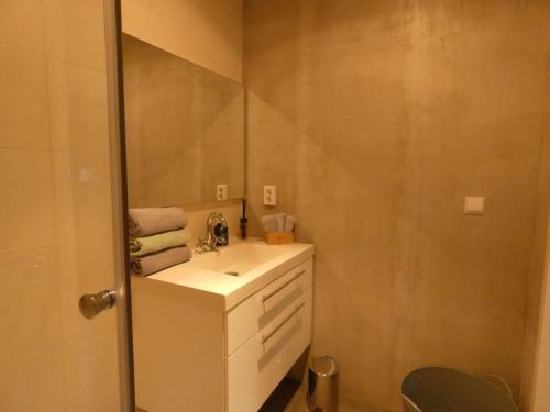een badkamer met een wastafel en een spiegel bij Vakantieverblijf Perron 3 in Haarle