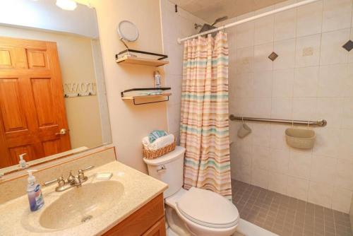 a bathroom with a toilet and a sink and a shower at Creston House 12B in St. Augustine